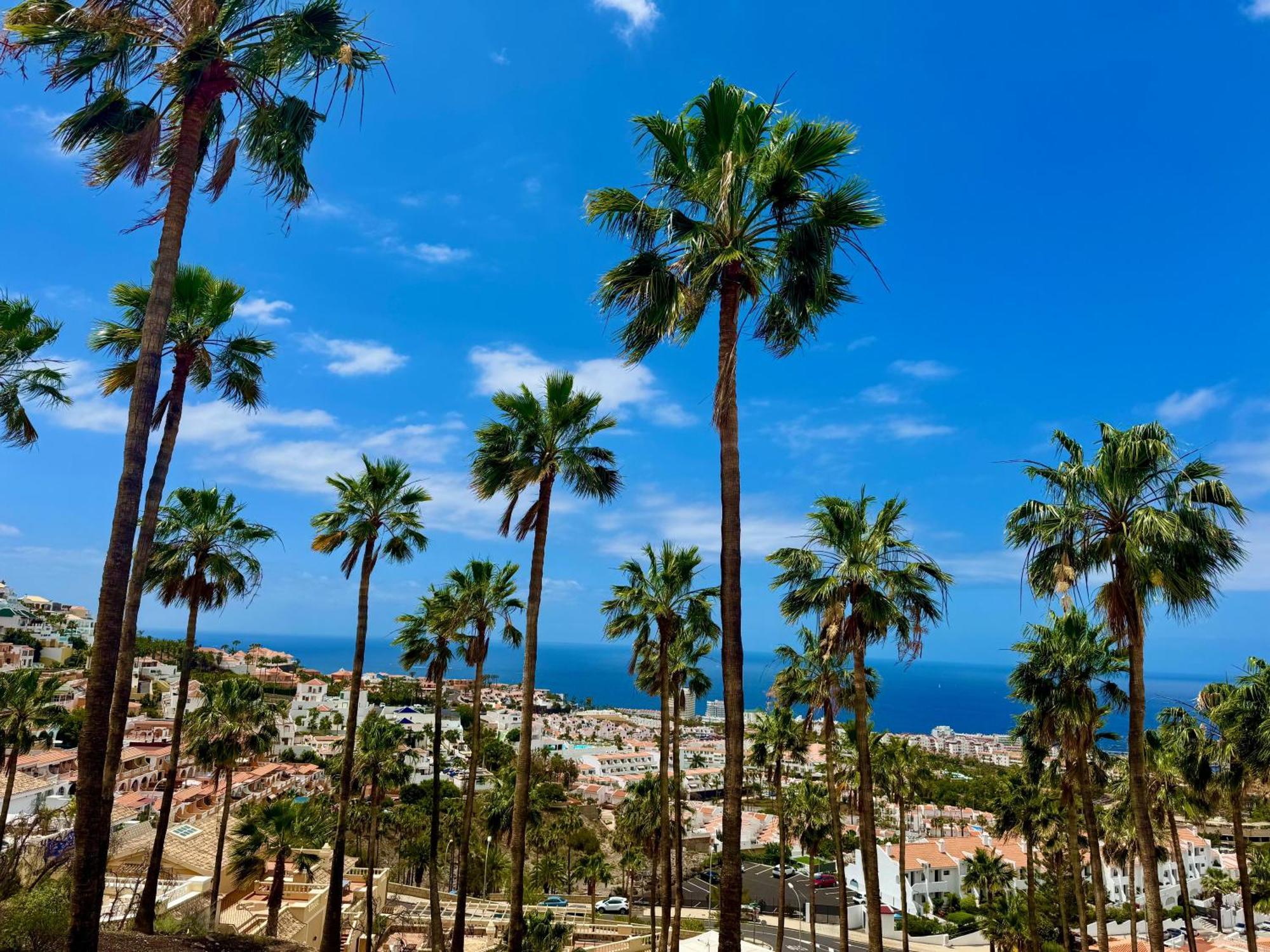 Stunning Apartments With Pool Tenerife Адехе Экстерьер фото